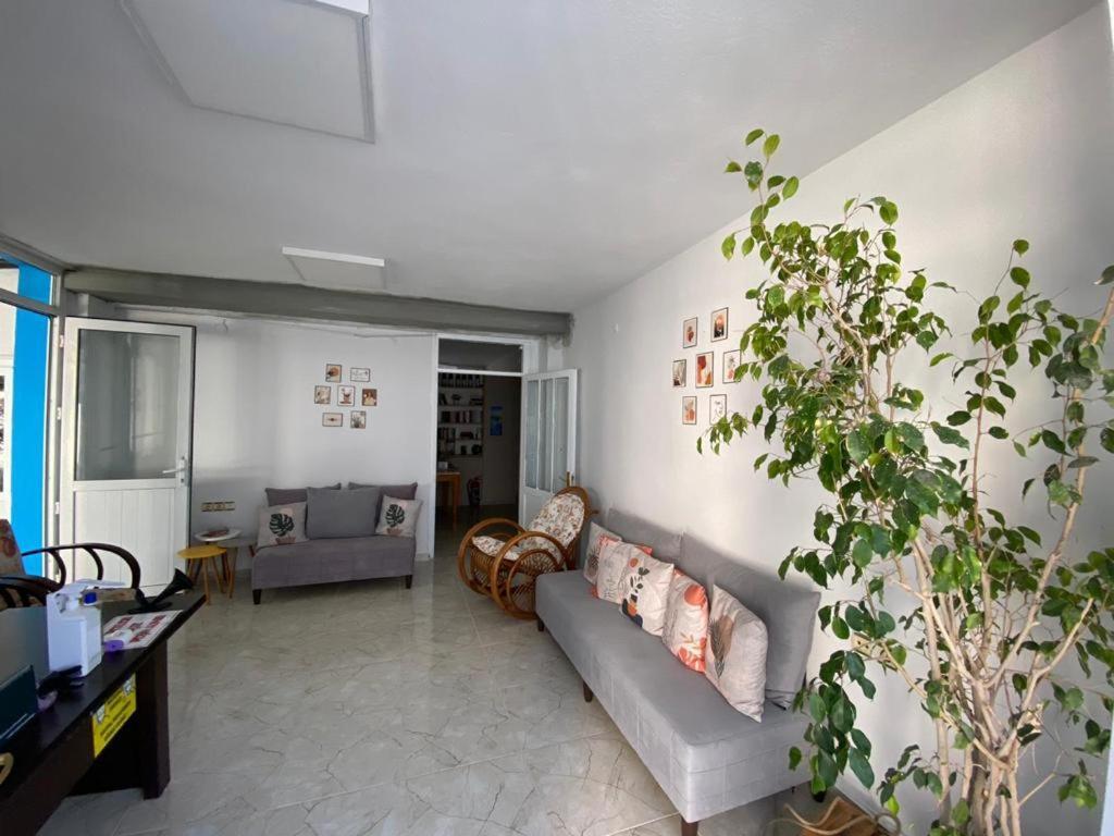 Nese Hotel Çeşme Exteriör bild